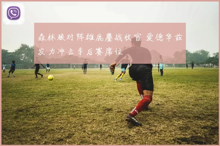 森林狼对阵雄鹿鏖战收官 爱德华兹发力冲击季后赛席位