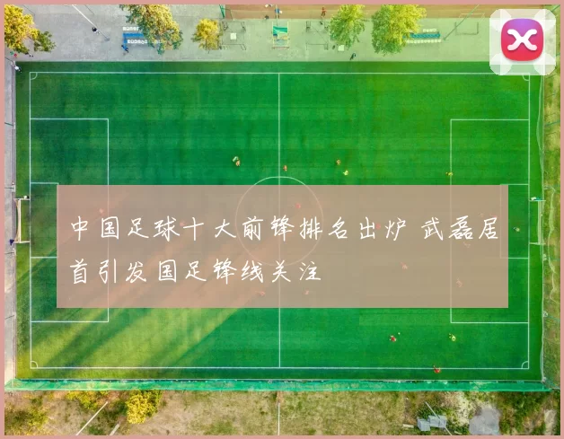 中国足球十大前锋排名出炉 武磊居首引发国足锋线关注